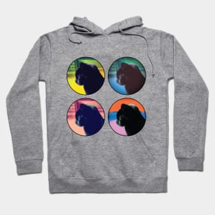 Four Midnights Hoodie